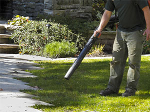 grass-cutting-hingham-ma new size psd